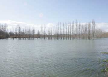 Παράνομη κρίθηκε από το Συμβούλιο της Επικρατείας η εκτροπή του Αχελώου