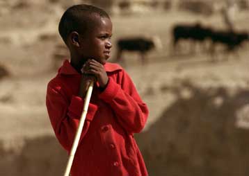 «Walk the World» από την Ακρόπολη την Κυριακή για την καταπολέμηση του υποσιτισμού