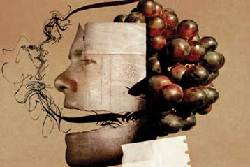 Κατά των γενετικά τροποποιημένων οργανισμών τάσσονται Έλληνες και Κύπριοι