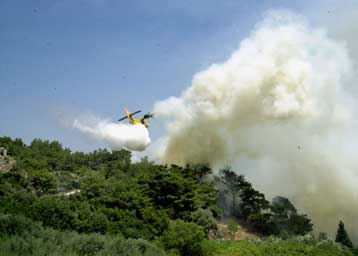 Δεκάδες στρέμματα καταστράφηκαν από πυρκαγιά στη Σάμο