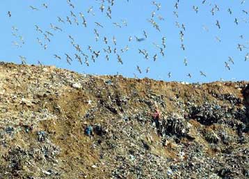 Στο έλεος ραδιενεργών και τοξικών αποβλήτων οι κάτοικοι της δυτικής Αττικής