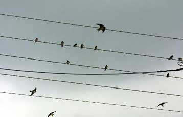 Στο Ευρωδικαστήριο η Ελλάδα για την αγορά ενέργειας