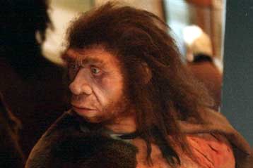 Ερευνητική κοινοπραξία αναδημιουργεί το γονιδίωμα του Νεάντερταλ