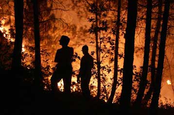 Υπό μερικό έλεγχο τέθηκε η πυρκαγιά στη Γουαδαλαχάρα της Ισπανίας