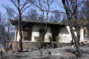 Προστασία του καμένου δάσους και άμεση καταγραφή ζημιών υπόσχεται η κυβέρνηση