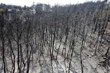 Επί ποδός οι αρχές υπό το φόβο νέων πυρκαγιών