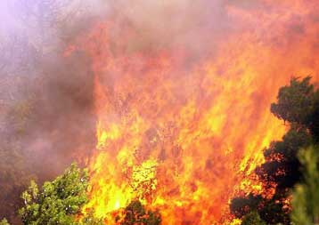 Πυρκαγιές σε Ρόδο, Κρήτη, Εύβοια και Αρκαδία, χωρίς να κινδυνεύουν κατοικίες