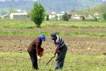 Μεταξύ 6 και 15 Αυγούστου τα επιδόματα σε 332.556 δικαιούχους του ΟΓΑ