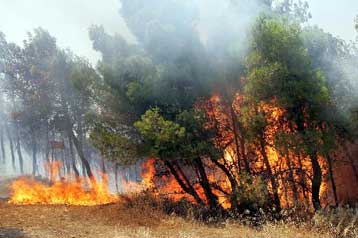 Μεγάλες φωτιές σε περιοχές της Κρήτης και της Ρόδου, κινδύνευσαν και κατοικίες