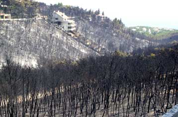 Στην επικήρυξη των εμπρηστών προχωρά η κυβέρνηση