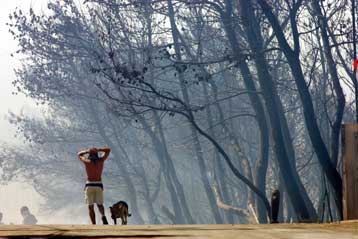 Σε πέντε πρόσωπα επικεντρώνονται οι έρευνες των Αρχών για τους εμπρησμούς στη Ραφήνα