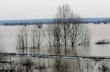 Περαιτέρω άνοδο παρουσίασε η στάθμη του ποταμού Έβρου