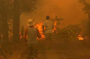 Υπό έλεγχο πυρκαγιά στην Αλφειούσα του νομού Ηλείας
