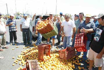 Αδιάλλακτοι οι κονσερβοποιοί Πέλλας και Ημαθίας για την τιμή του ροδάκινου