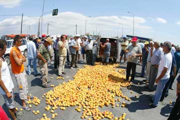 Ανυποχώρητοι στο θέμα της τιμής του ροδάκινου οι κονσερβοποιοί
