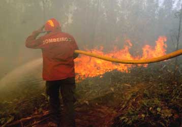 Εκτός ελέγχου μαίνονται δεκάδες πυρκαγιές στην κεντρική και βόρεια Πορτογαλία