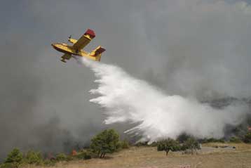Πυρκαγιά σε δασική περιοχή της Μεσσηνίας