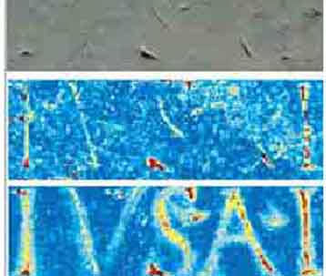 Το Νόμο του Δράκοντος προσπαθούν να διαβάσουν Αμερικανοί επιστήμονες