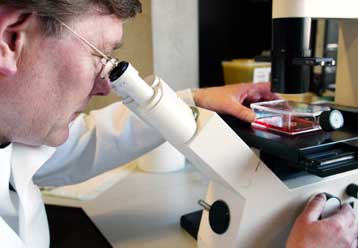 Οι μισές επιστημονικές δημοσιεύσεις «είναι λανθασμένες»