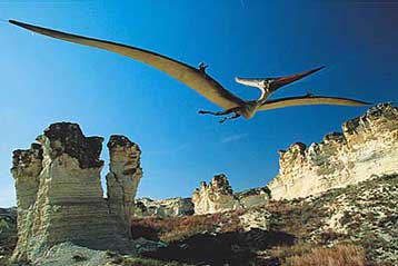 Λεπτεπίλεπτοι πτερόσαυροι ήταν μεγάλοι σαν αεροπλάνα