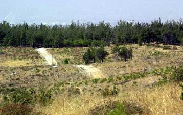 Μυστήριο με ποσότητα ζελατοδυναμίτιδας που βρέθηκε στο Σέιχ Σου