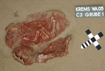 Προϊστορικά βρέφη στην Αυστρία είχαν ταφεί μαζί με οστά μαμούθ