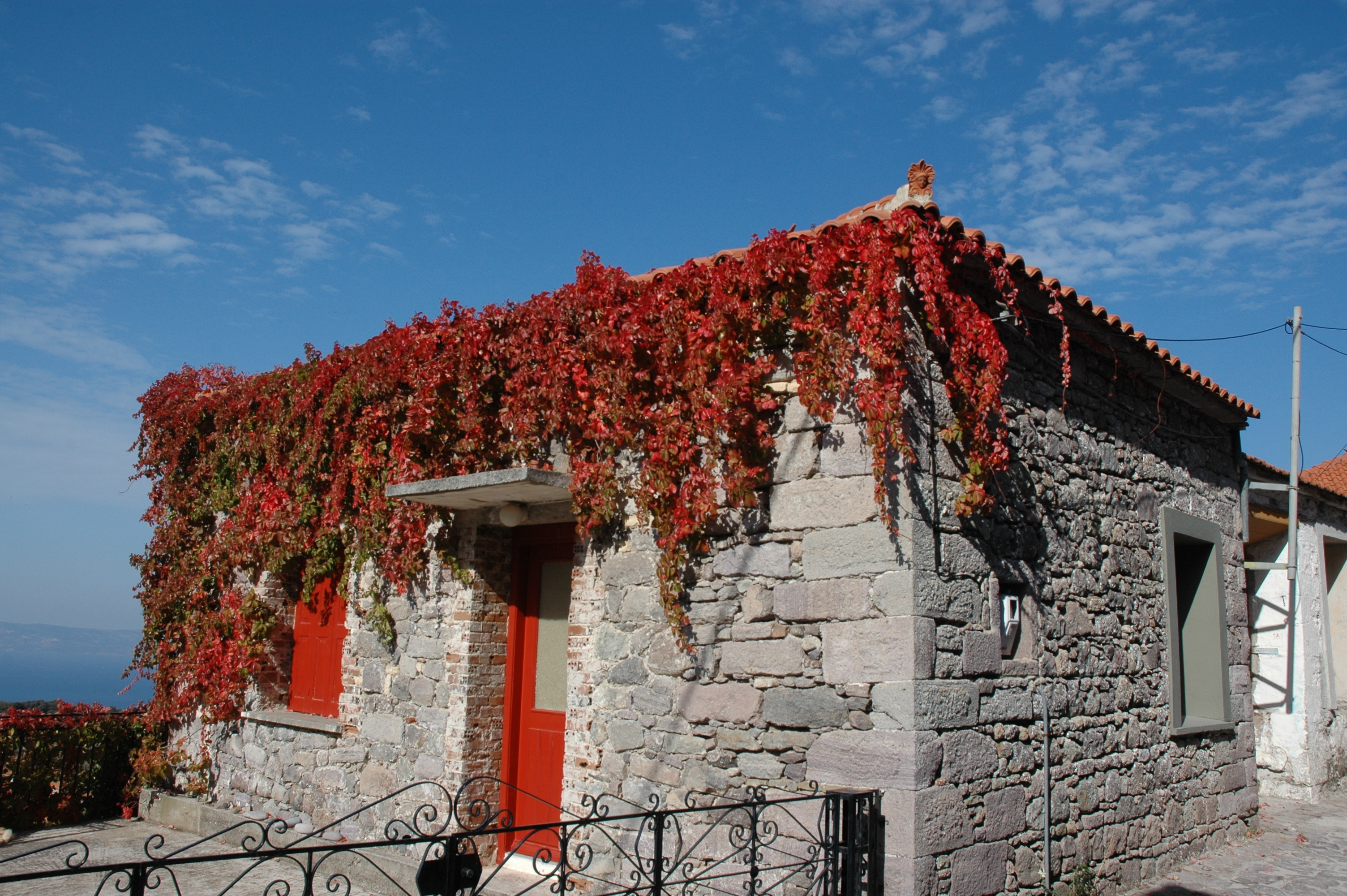 Λέσβος, η Γοργόνα της Συκαμιάς