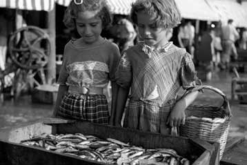 Αρνητικά διάσημων φωτογραφιών στο Μουσείο Μπενάκη