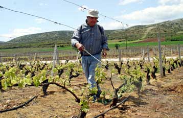 Παράταση προθεσμίας για την επιστροφή του ΦΠΑ από τους αγρότες