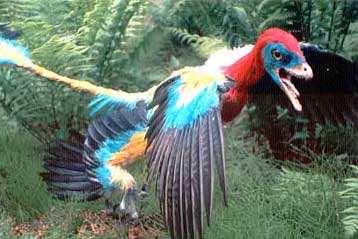 Πρωτοπόρος δεινόσαυρος πετούσε με… τα τέσσερα