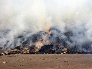 Πυρκαγιά σε εκκοκιστήριο βάμβακος στην Καρδίτσα – Νεκρός στις φλόγες ο διευθυντής