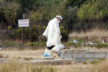 Αρνητικές οι εξετάσεις στη Βρετανία για τον ιό Η5 στο ελληνικό δείγμα γαλοπούλας