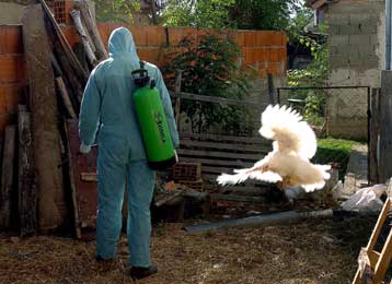 Η ΕΕ επεκτείνει την απαγόρευση εισαγωγής πουλερικών από τη Ρωσία