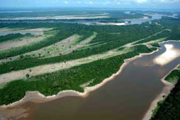 Διπλάσιος από ό,τι νομίζαμε ο ρυθμός καταστροφής του Αμαζονίου