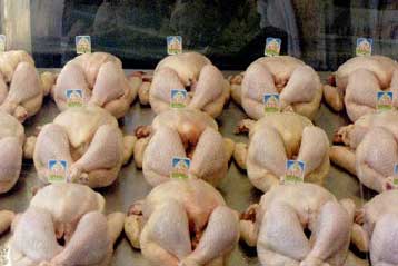 Μέτρα για τη στήριξη της ελληνικής πτηνοτροφίας μελετά η κυβέρνηση