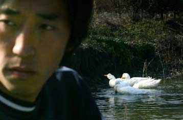 Νέο ξέσπασμα της γρίπης των πτηνών στην Κίνα – Τέταρτος νεκρός στην Ινδονησία