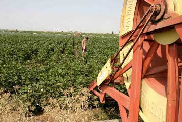 Τη μερική κατάργηση των αγροτικών επιδοτήσεων από το 2009 προτείνει η Κομισιόν
