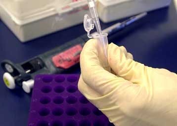 Γενετικός χάρτης δείχνει τις διαφορές από άνθρωπο σε άνθρωπο