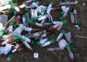 Σύριγγες και καθετήρες με …κουνούπια και τρίχες εντοπίστηκαν σε νοσοκομεία