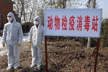 Πρώτοι θάνατοι ανθρώπων από γρίπη των πτηνών στην Κίνα