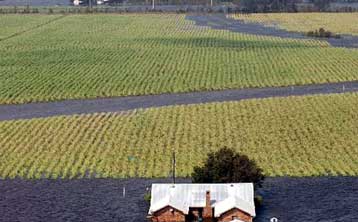 Συμφωνία στην Ευρωπαϊκή Ένωση για μείωση κατά 36% της τιμής της ζάχαρης
