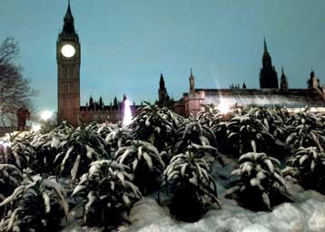 Το Ρεύμα του Κόλπου επιβραδύνεται, η Ευρώπη απειλείται με απότομη ψύξη