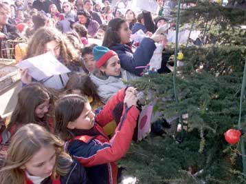 Από 35 έως και 500 ευρώ το κόστος ενός χριστουγεννιάτικου δέντρου στην αγορά