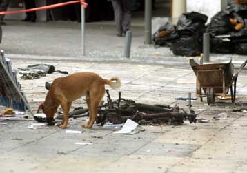 Των αρχών ασφαλείας υπεραμύνεται ο υπ.Δημόσιας Τάξης, μετά την έκρηξη στο Σύνταγμα