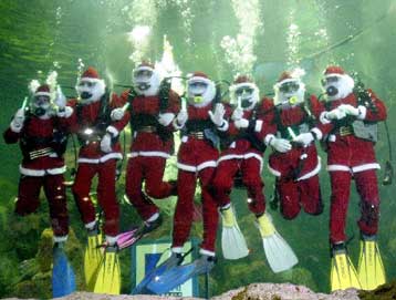 Το φαινόμενο του θερμοκηπίου απειλεί το Βόρειο Πόλο, τονίζει η οργάνωση WWF