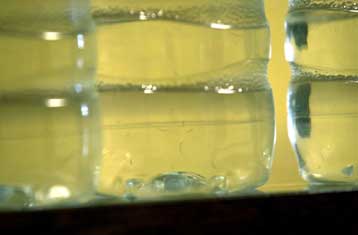 Κομμάτια γυαλιού βρέθηκαν σε παρτίδα εμφιαλωμένου νερού Evian