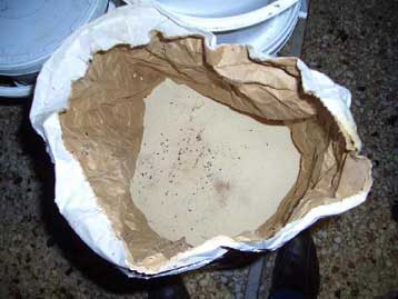 Εικόνες αθλιότητας σε αρτοποιείο και αποθήκη ξηρών καρπών σε Κερατσίνι και Ρέντη