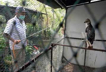 Συναγερμός στη διεθνή κοινότητα για δύο «ανθεκτικά» κρούσματα της γρίπης των πτηνών