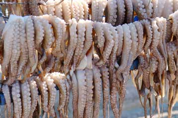 Ληγμένα θαλασσινά κατασχέθηκαν από τη Νομαρχία Αθηνών