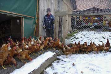 Τέσσερα παιδιά στην Τουρκία νοσηλεύονται με συμπτώματα της γρίπης των πτηνών
